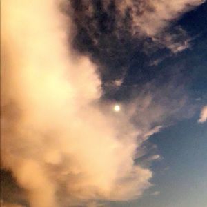 Meet your Posher, Bruce